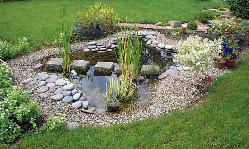 Декоративный водоём является весьма оригинальным элементом дизайна дачи и довольно часто применяется при озеленении ландшафта и благоустройстве территории сада