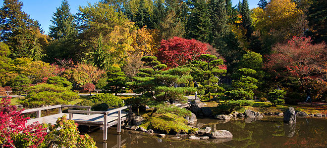 Сад в японском стиле выглядит привлекательно в течение всего года