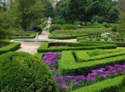 Бухарестский сад