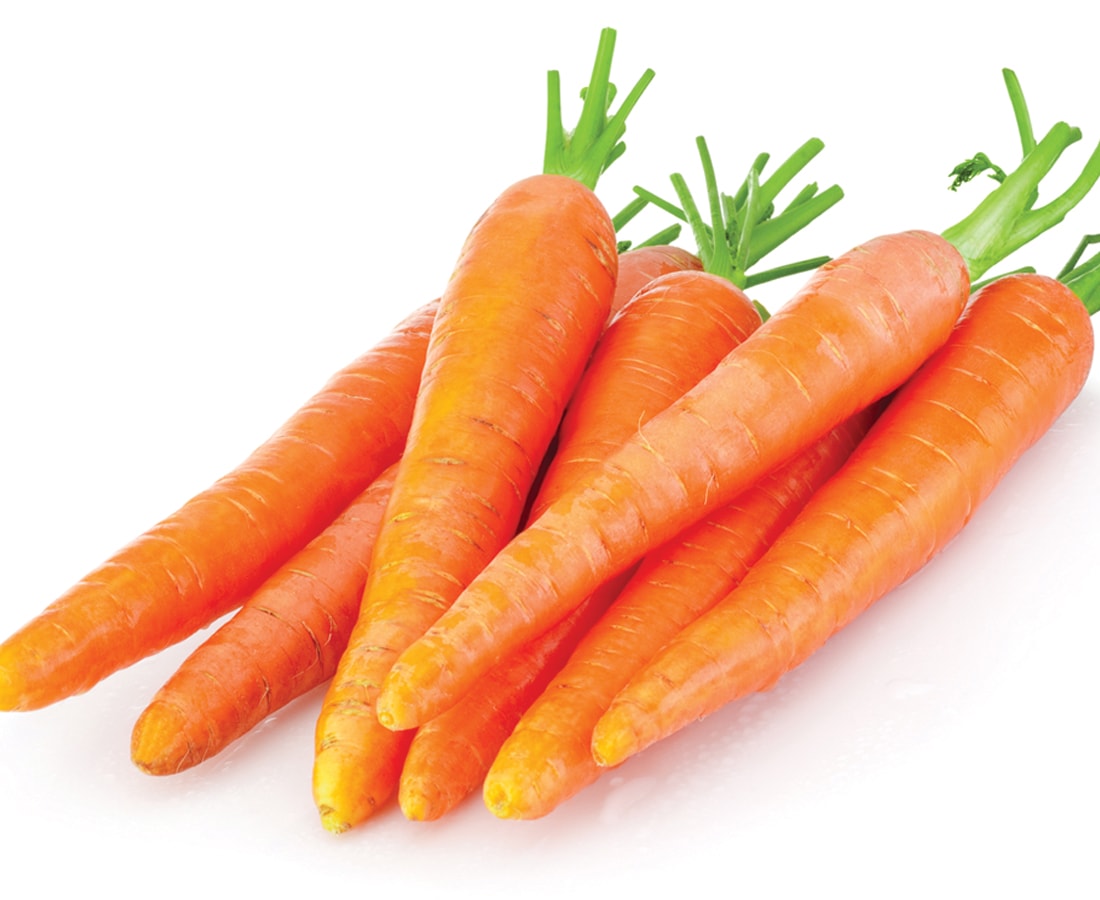 морковь посадка
