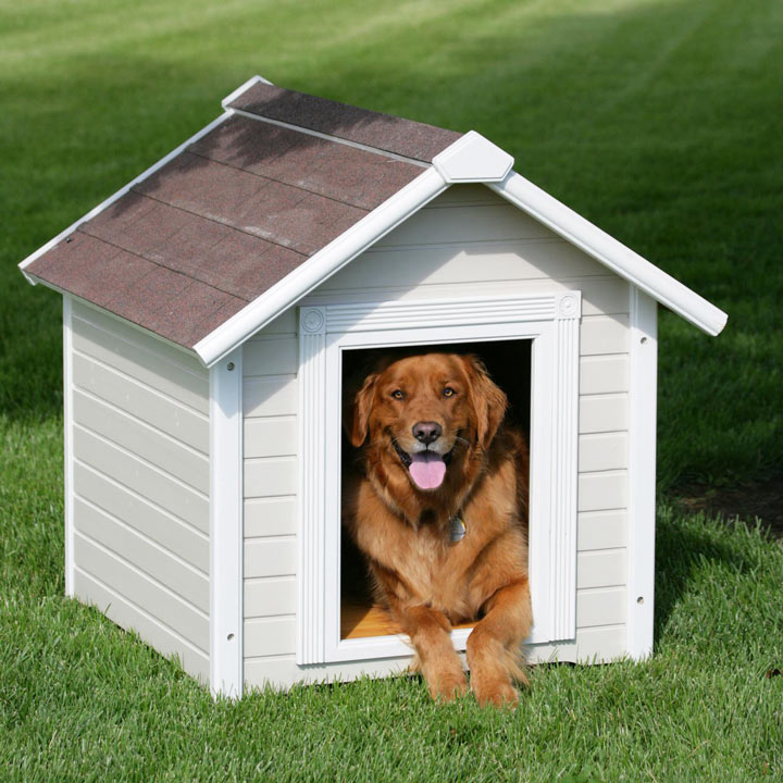 будка для собаки